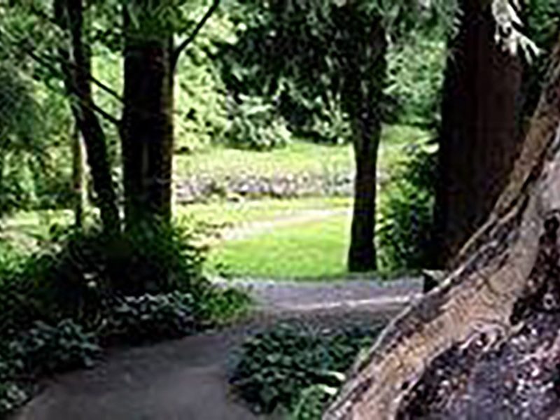 Renfrew community park Vancouver
